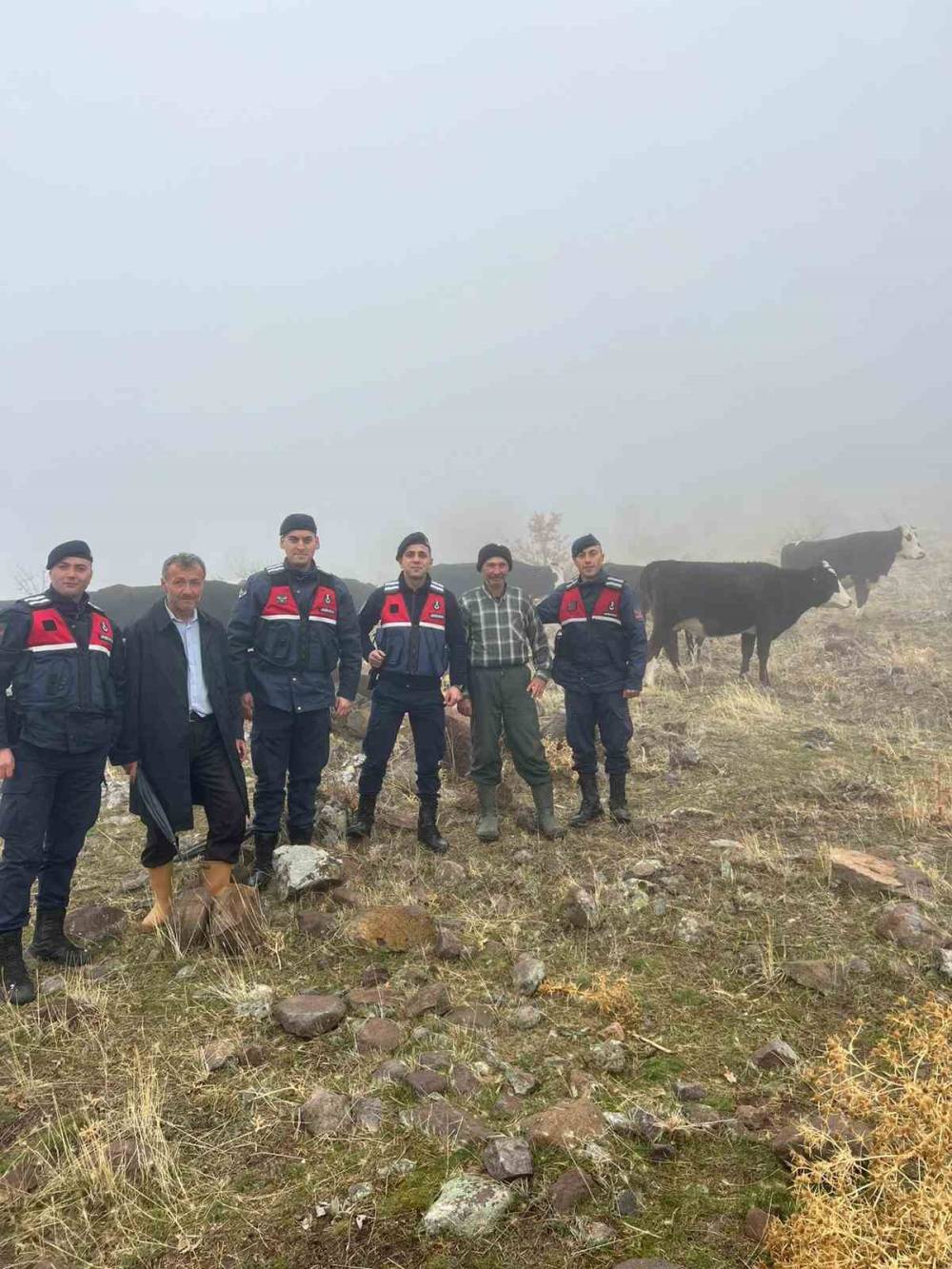 Konya'da kaybolan büyükbaş hayvanları jandarma buldu