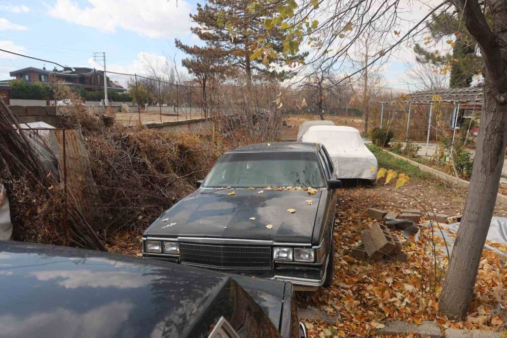 Konya'daki bu serada sebze değil araba yetişiyor!