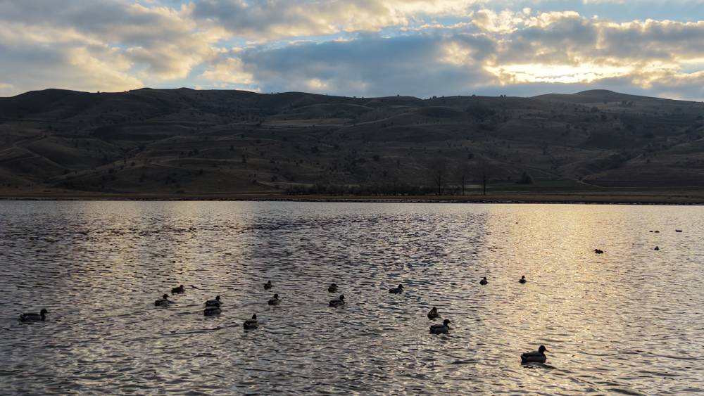 Göl, yağışlarla yeniden 'hayat' buldu