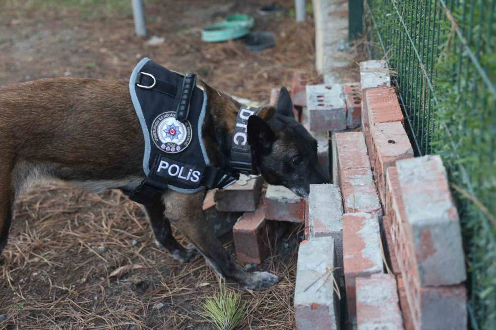 Konya'da ‘Bulamazlar’ dedikleri zulaları burunları ile patlatıyorlar