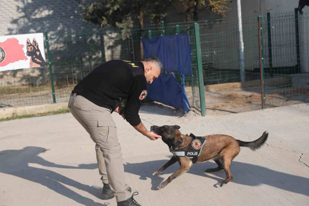 Konya'da ‘Bulamazlar’ dedikleri zulaları burunları ile patlatıyorlar