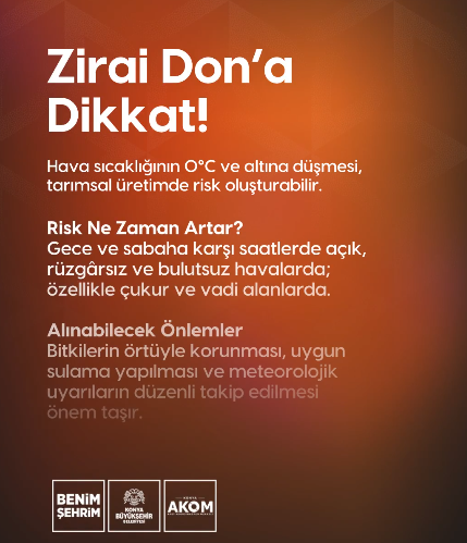 zirai-don.png