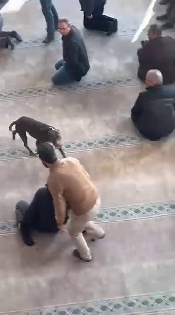Cuma vaazı sırasında camiye pitbull girdi