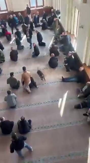 Cuma vaazı sırasında camiye pitbull girdi