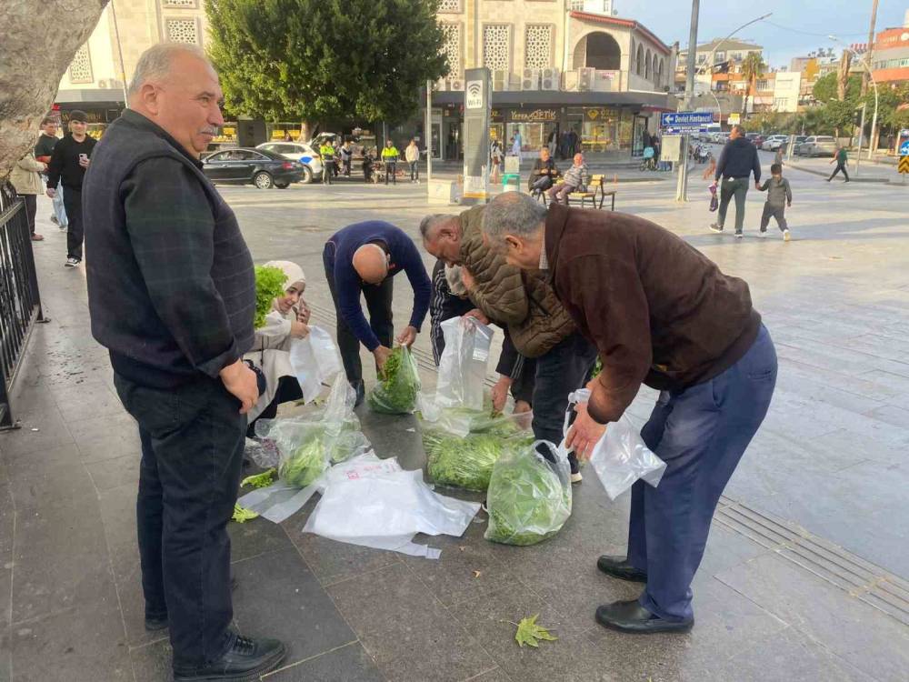 Tepki olarak 200 marulu ücretsiz dağıttı