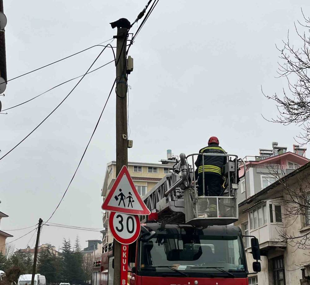 Beyşehir’de herkesi şaşırtan görüntü