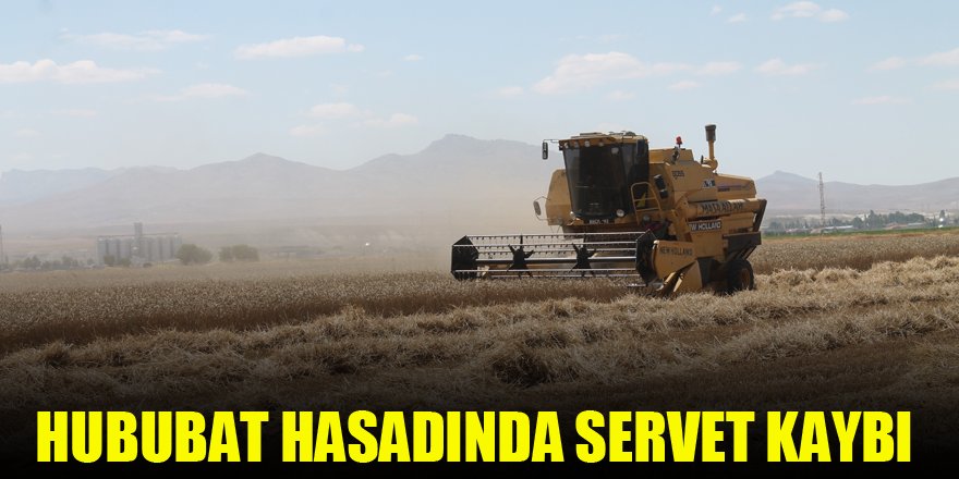 Hububat hasadında servet kaybı