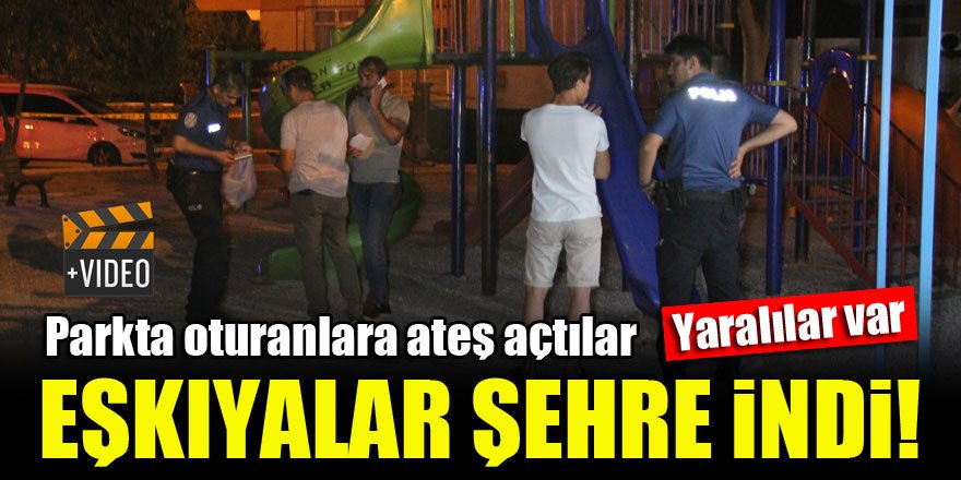 Parkta oturanlara tüfekle ateş açtılar! Gençler yaralandı