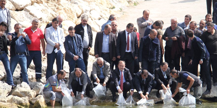 Beyşehir Gölü’ne 500 bin yavru sazan takviyesi