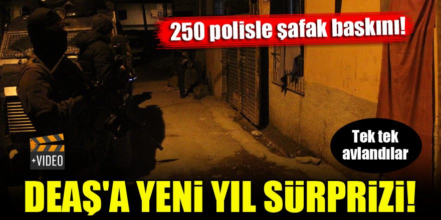 DEAŞ'a yeni yıl sürprizi! 250 polisle şafak baskını