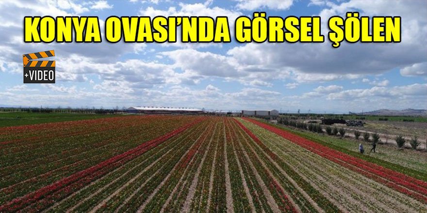 Konya Ovası'nda görsel şölen