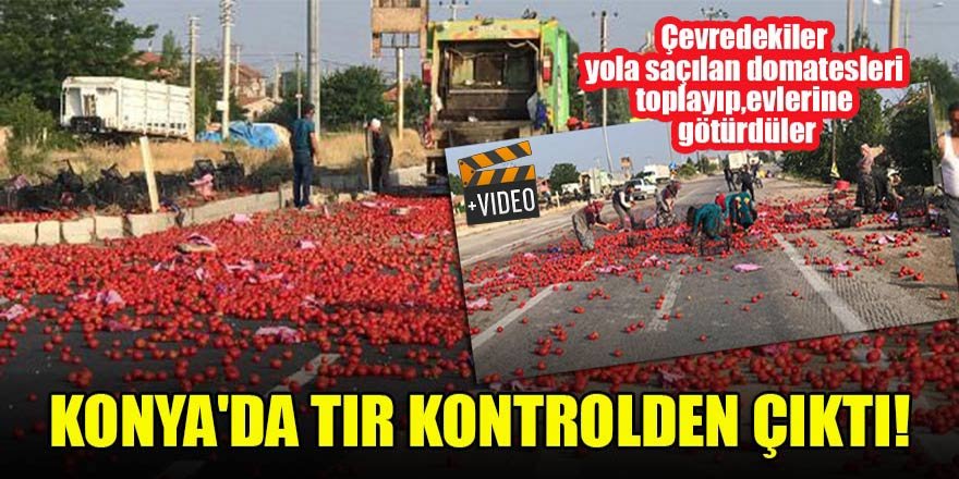 Konya'da tır kontrolden çıktı! Çevredekiler yola saçılan domatesleri toplayıp, evlerine götürdüler