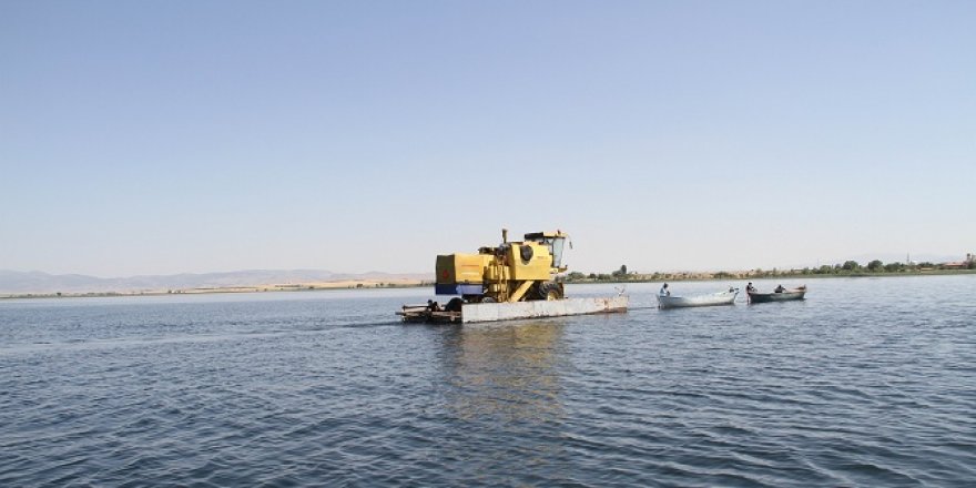 Beyşehir Gölü’nde yüzdürülerek adaya götürülen biçerdöverle hasat