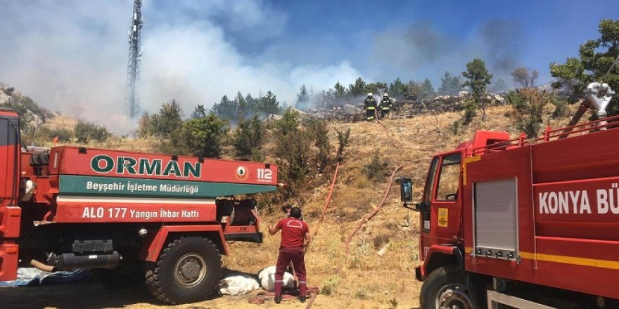Konya'da orman yangını