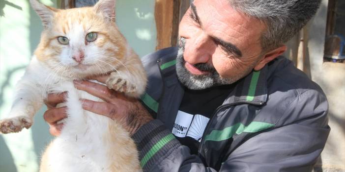 Konya'da babasından miras kedileri korumak için bakın ne yaptı