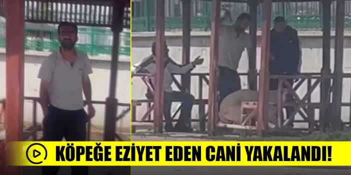 Konya'da köpeğe eziyet eden cani yakalandı!