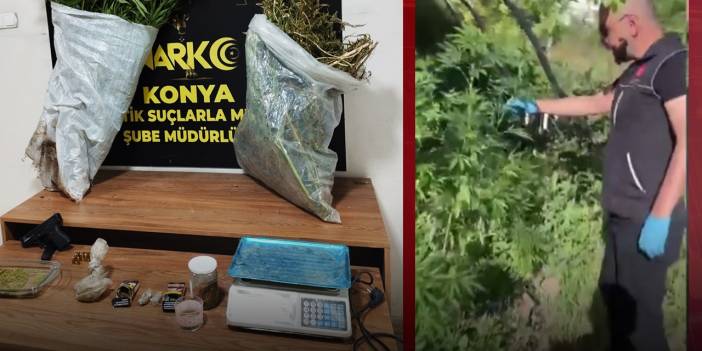 Konya'da polisten uyuşturucu operasyonu! Bahçede sera kurmuşlar