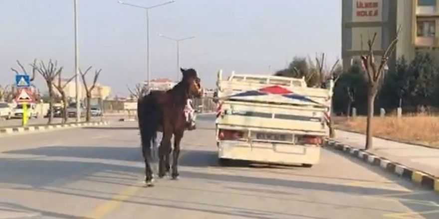 Bunun adı vicdansızlık!