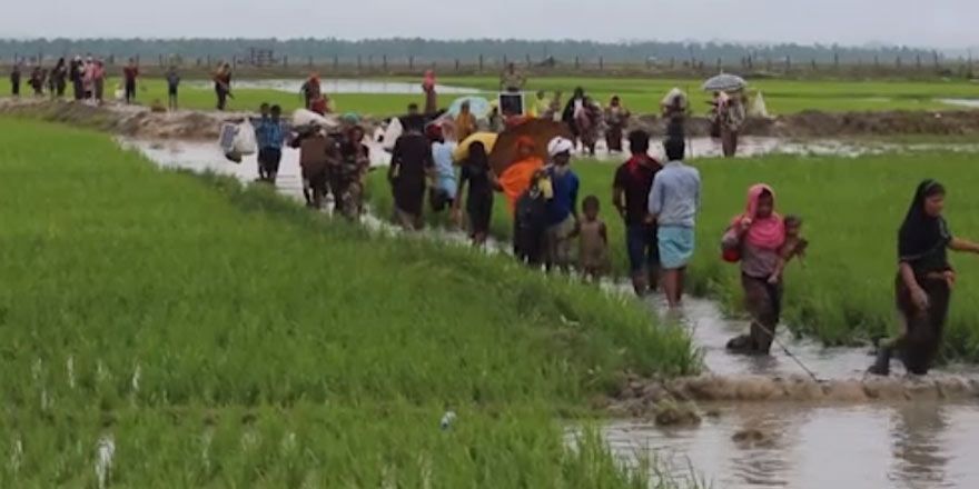 Arakanlı Müslümanların Bangladeş'e kaçışı sürüyor