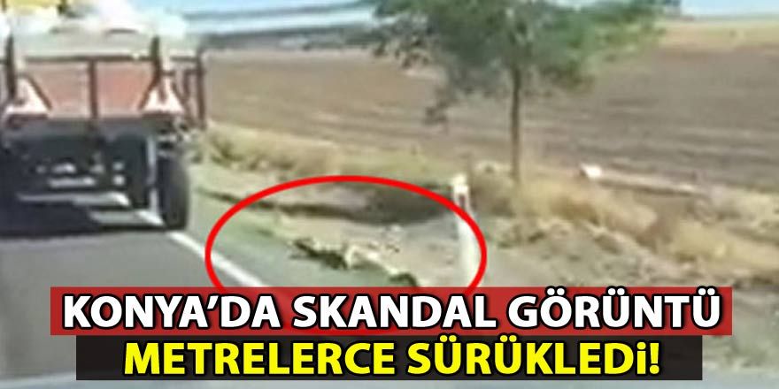 İple römorka bağlanan köpek metrelerce sürüklendi